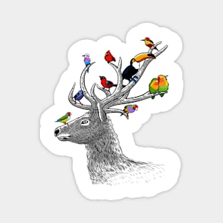 Deer with tropical birds Magnet