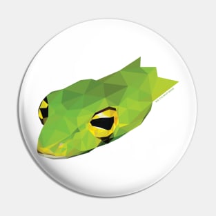 Big-Eyed Whip Snake Pin