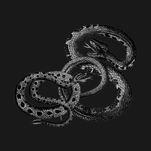 Poisonous Black Snake by Aleksander37