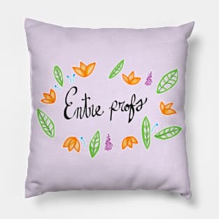 Entre_profs logo 1 Pillow