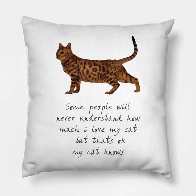 I Love My Cat So Much - T-Shirt V2 Pillow by Aachraoui