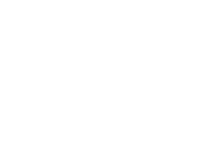 Raptor Motorcycles - White Magnet