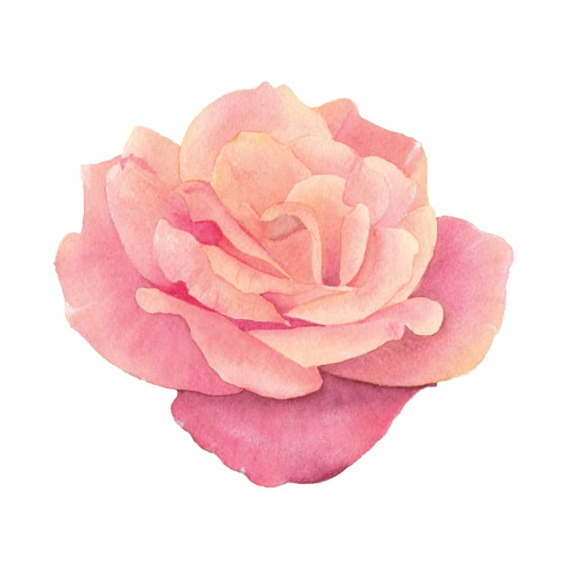 Watercolor rose by RosanneCreates