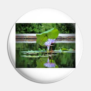 Umbrella Pad For Lilies Pin