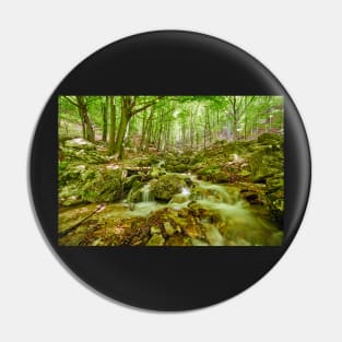 River flowing through rocks Pin