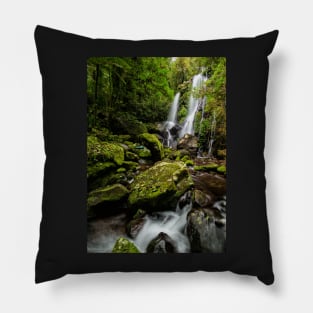 The Queen of the Rainforest Pillow