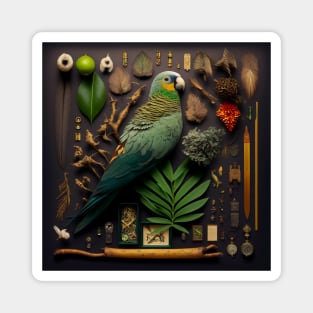 Parrot: Knolling photography with ultra-sharp camera Magnet