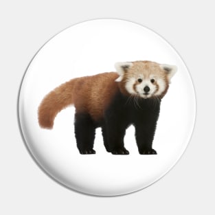 Cute Red Panda Pin