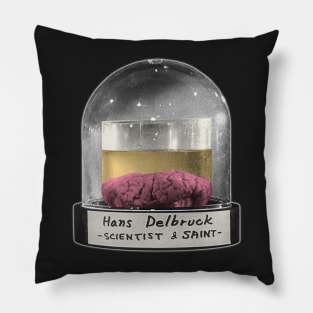 Hans Delbruck Brain Jar Pillow