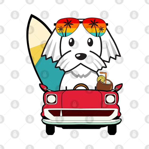 Cute white dog driving to the beach by Pet Station