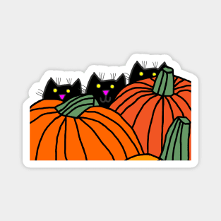 Halloween Cat Magnet