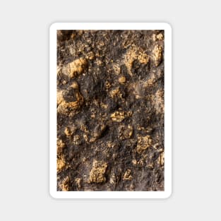 Black & Gold Volcanic Surface Magnet