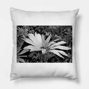 Iao Valley State Monument Study 15 Pillow