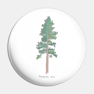 Ponderosa Pine Pin