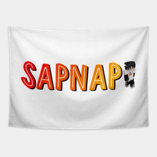 Sapnap (with MC Skin) Tapestry