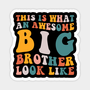 This is what an Awesome Big Brother Look Like Magnet