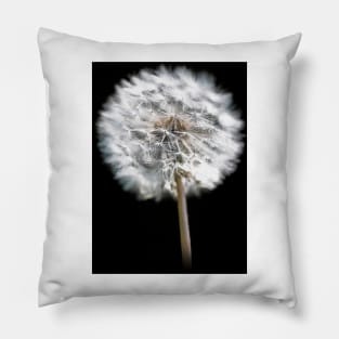 Dandelion Seed Head Pillow