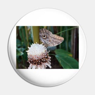 Owl butterfly Pin