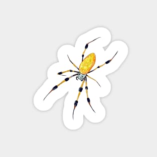 Lineless Golden Orb Weaver Magnet