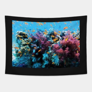 Colorful Fish in the Coral Tapestry