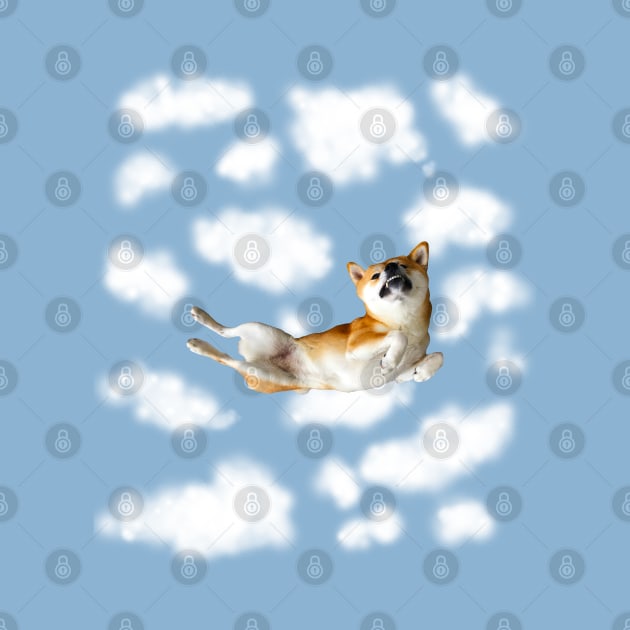 Lilly the Shiba Inu Skydiving Freefall by shibalilly