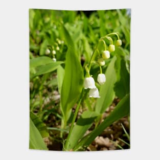 Lispe Lily of the Valley Tapestry