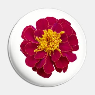 Red Marigold Floral Photo Pin