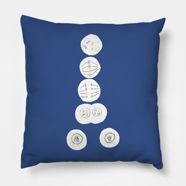 Mitosis Cell Division Biology Science Blue Pillow by labstud