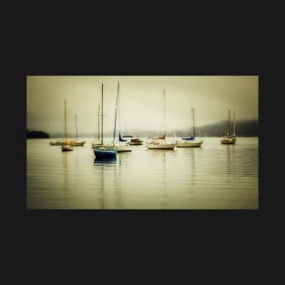 Boats in the mist T-Shirt