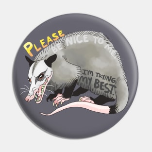 Be Nice Possum Pin