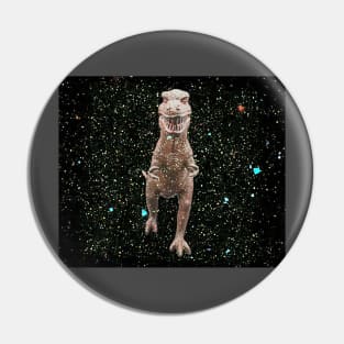 Vintage T Rex toy in space Pin