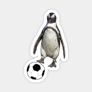 Soccer Magnet