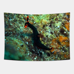 Nembrotha kubaryana nudibranch Tapestry