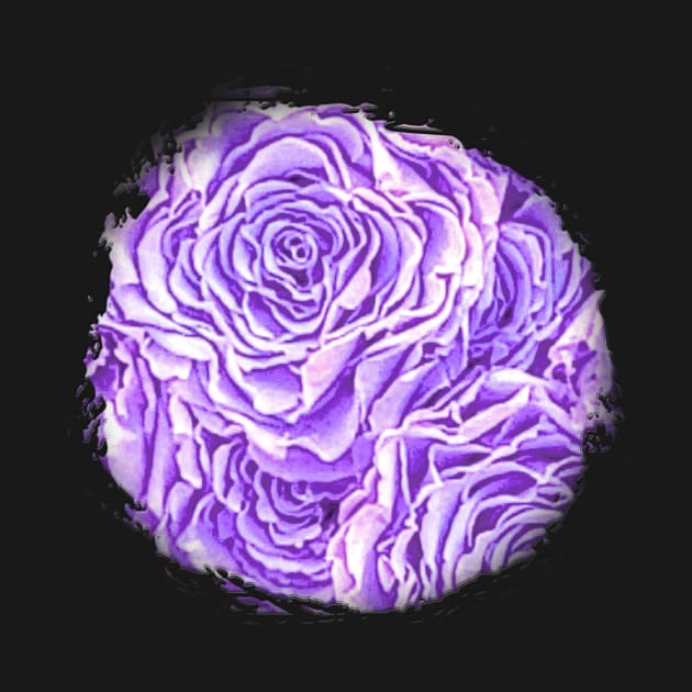 Light Purple Rose by Klssaginaw