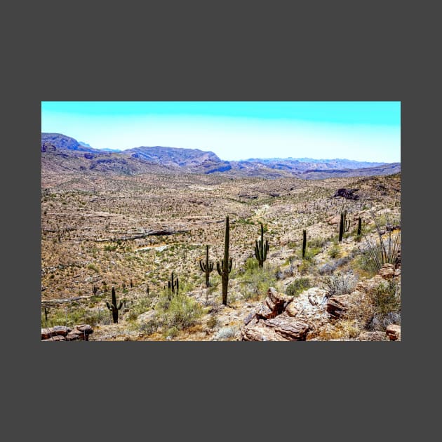 Apache Trail Scenic Drive View by Gestalt Imagery