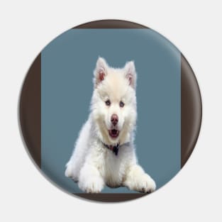 White dog Pin