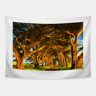 Cypress Tunnel Sunset Glow Tapestry