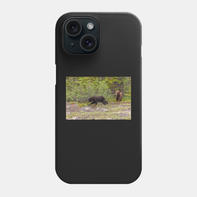 Bear Cubs Phone Case by jvnimages