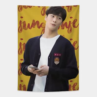 Moonbin Jung Oh Je Tapestry