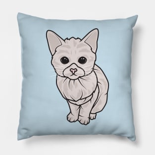 Kitten the baby cat Pillow