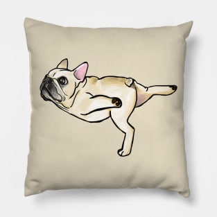 Tabletop pose Pillow