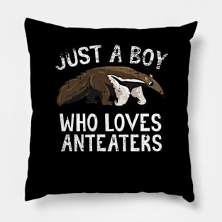 Just A Boy Who Loves Anteaters Pillow