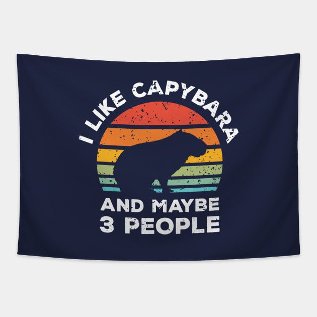 I Like Capybara and Maybe 3 People, Retro Vintage Sunset with Style Old Grainy Grunge Texture Tapestry by Ardhsells