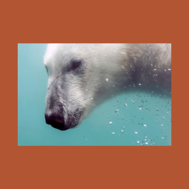 Head of Polar bear under water by lena-maximova