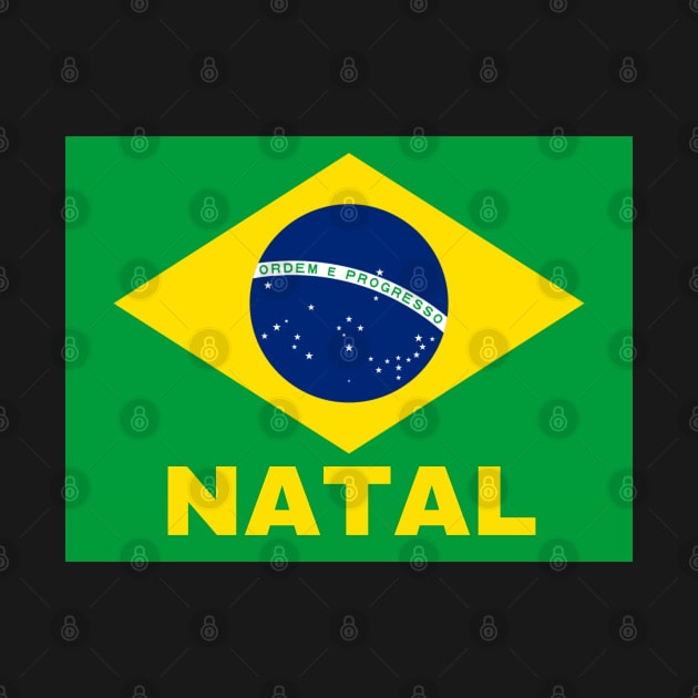 Natal City in Brazilian Flag by aybe7elf