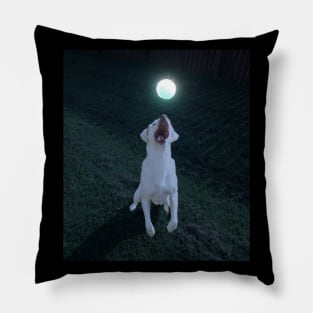 Dog playing glow ball Pillow