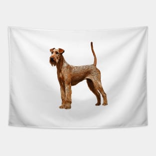 Irish Terrier Dog Tapestry