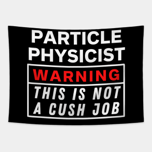 Particle physicist Warning this is not a cush job Tapestry