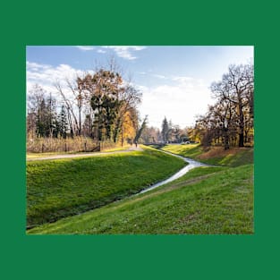 Walkway near a stream and a forest with a wooden bridge T-Shirt