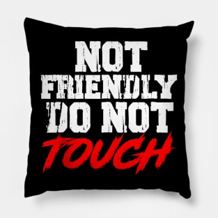 not friendly do not touch Pillow